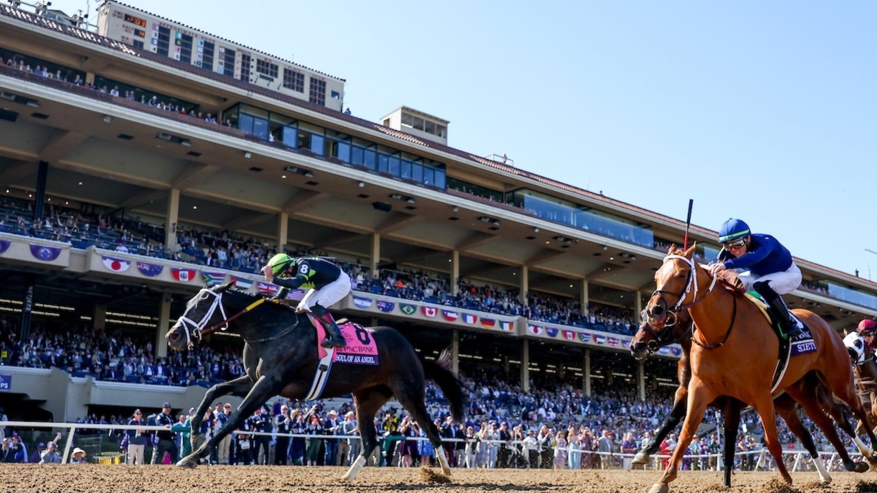 Soul Of An Angel Eyes Saudi Cup After Sprint Glory Image 1