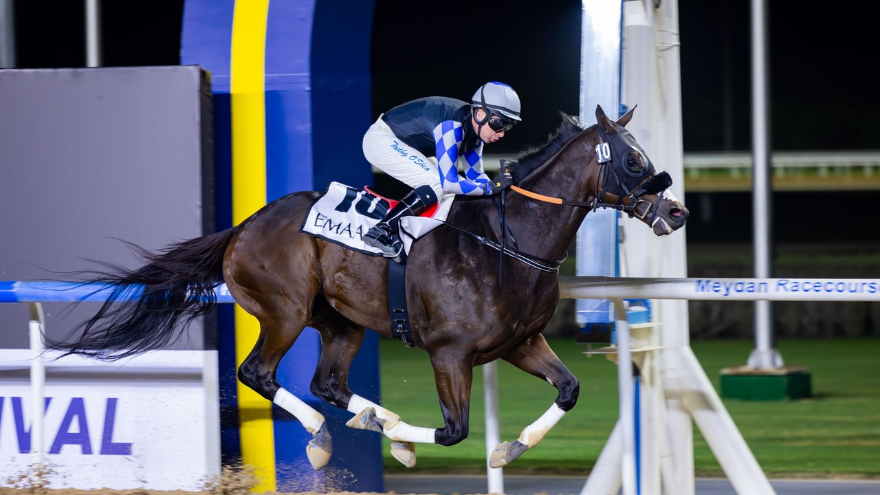 Walk Of Stars Headlines Dubai Creek Mile Image 1