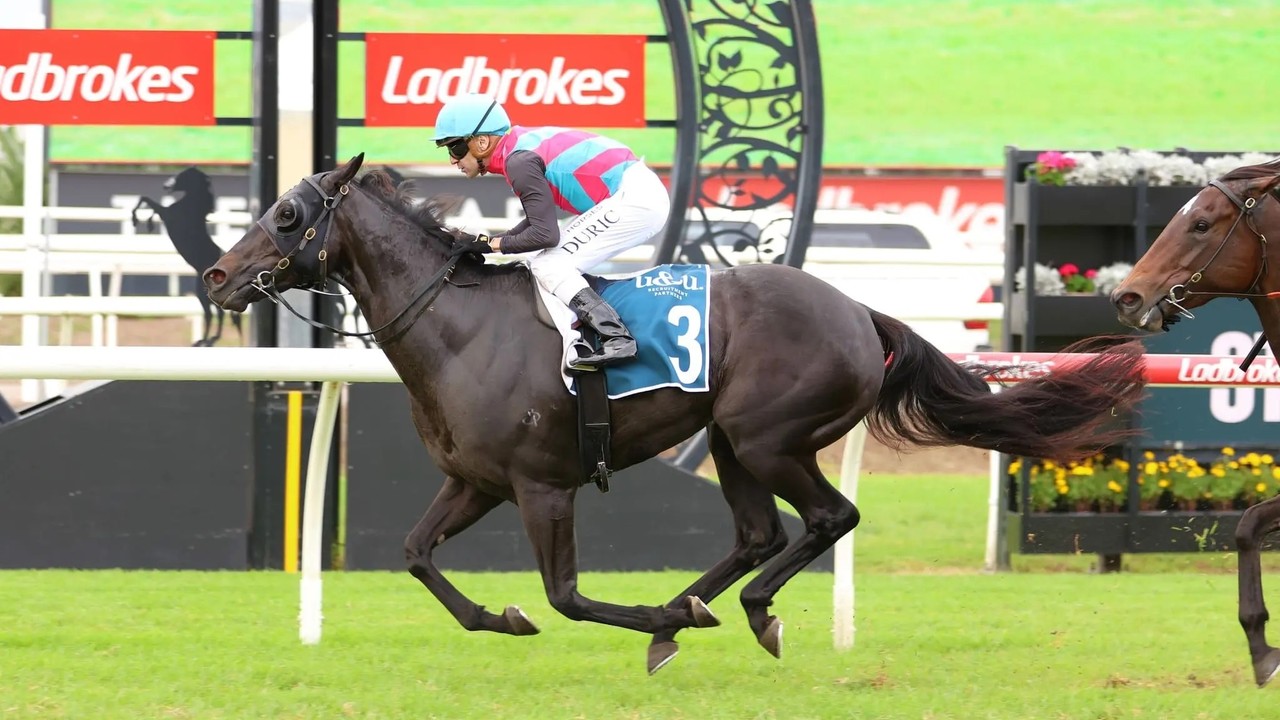 Antino Seeks First International G1 Win for Queensland Image 1