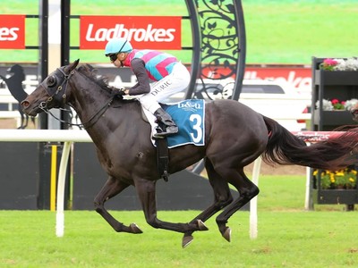 Antino Seeks First International G1 Win for Queensland