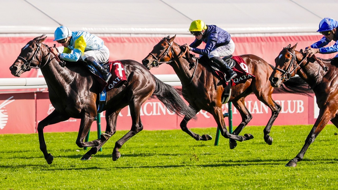 Ramadan And Zarir Target Hong Kong Riches Image 1