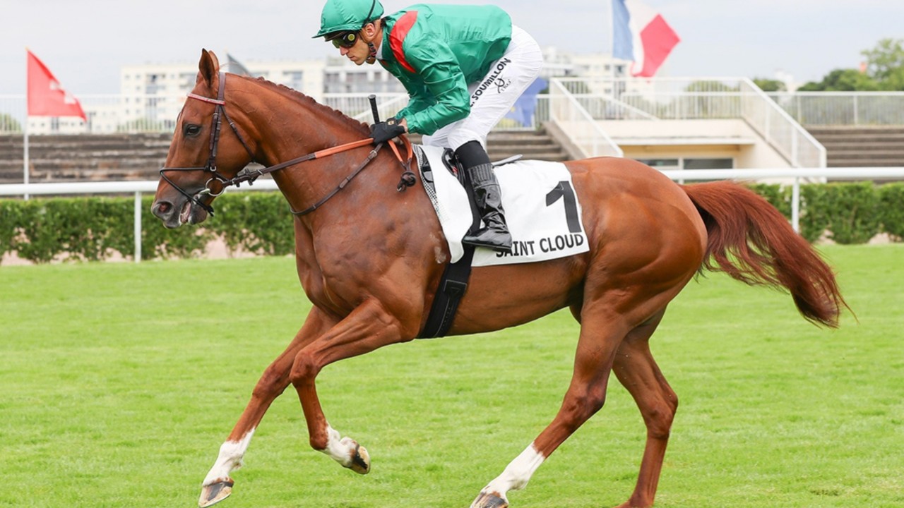 Ramadan And Zarir Target Hong Kong Riches Image 2