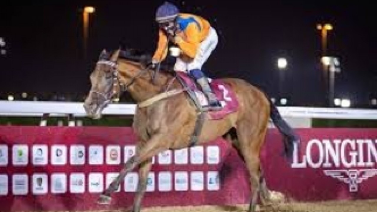 Ghazali's Star Claims Glory in Doha Feature Image 1