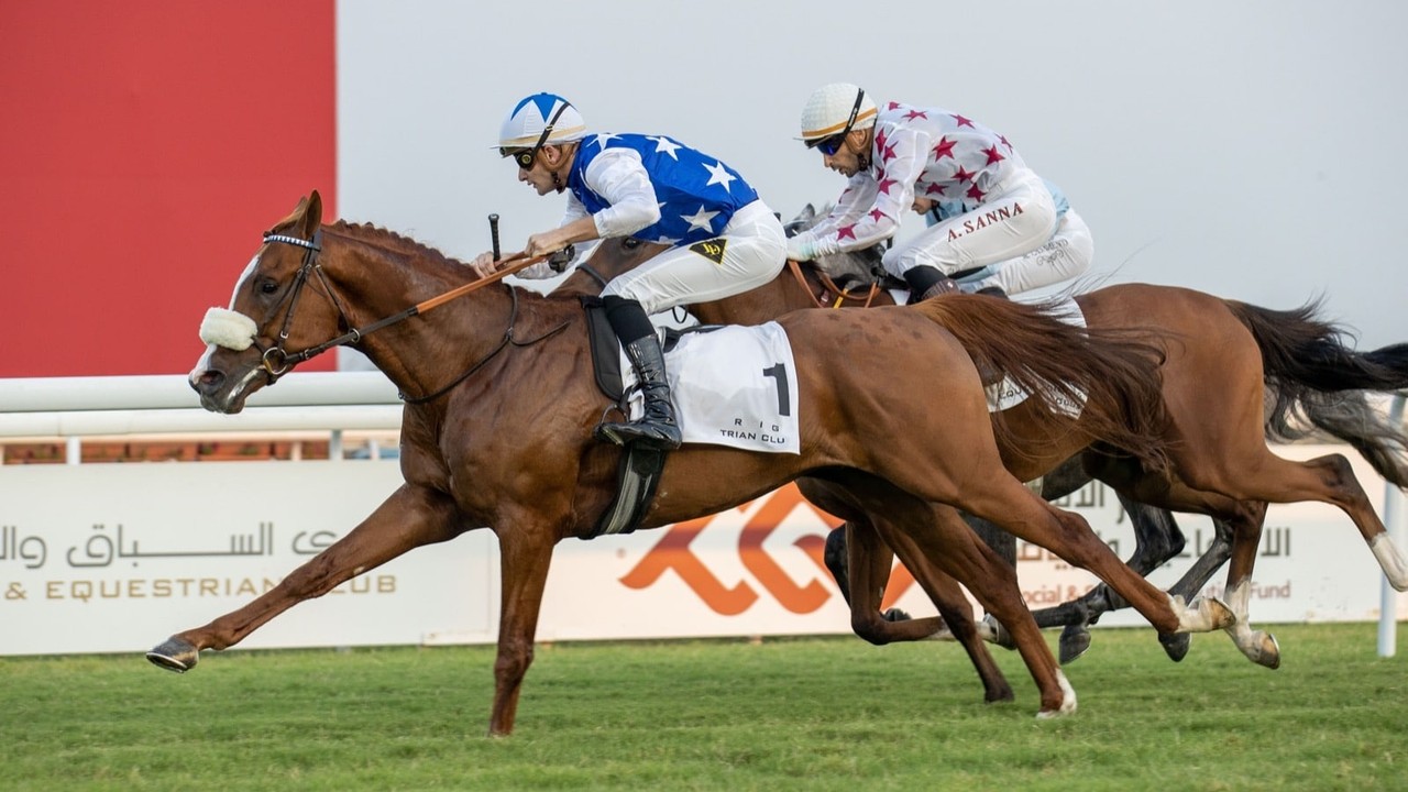 Al Shahania's Elite Ready For US$2.2m UAE President Cup ... Image 2