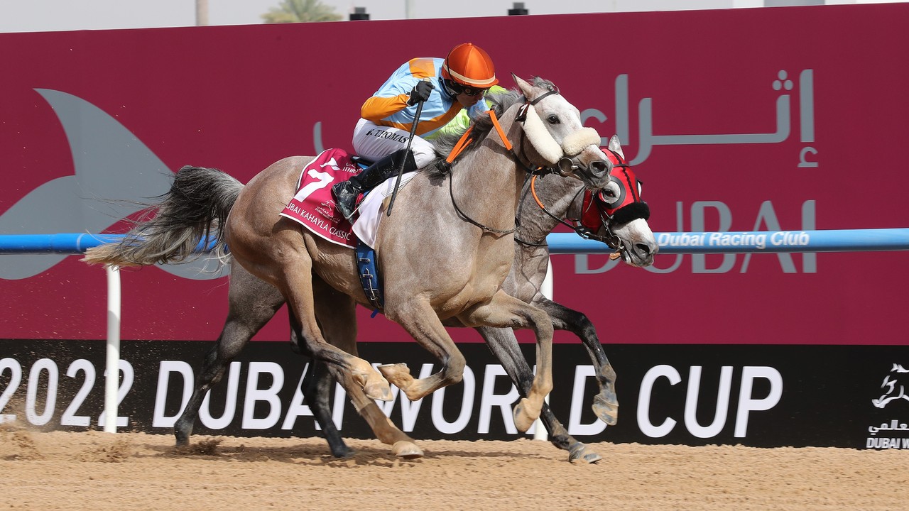 Cre Run Farm's First Classs Returns for UAE President Cup Image 1