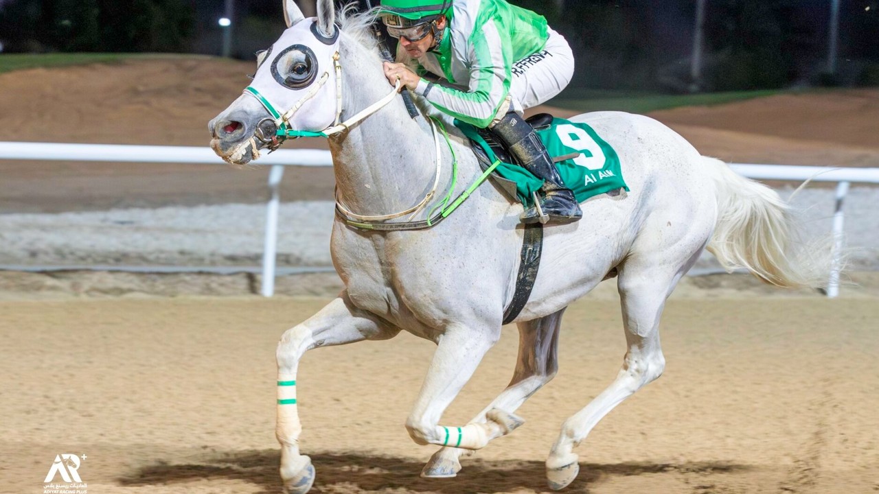 From Backyard Dreams to Arabian Racing Dynasty Image 1