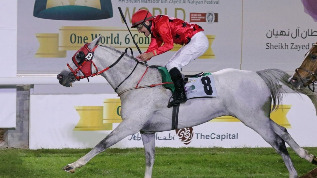 From Backyard Dreams to Arabian Racing Dynasty Image 2