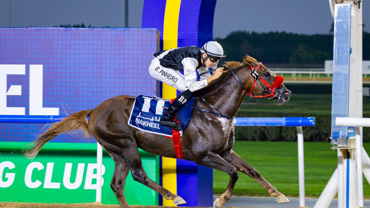 From Backyard Dreams to Arabian Racing Dynasty Image 1