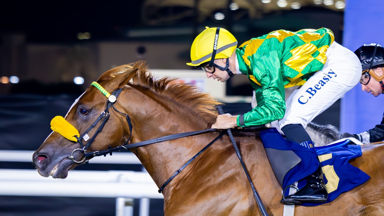 Oertel Banks On AF Maqam For President's Cup Image 2