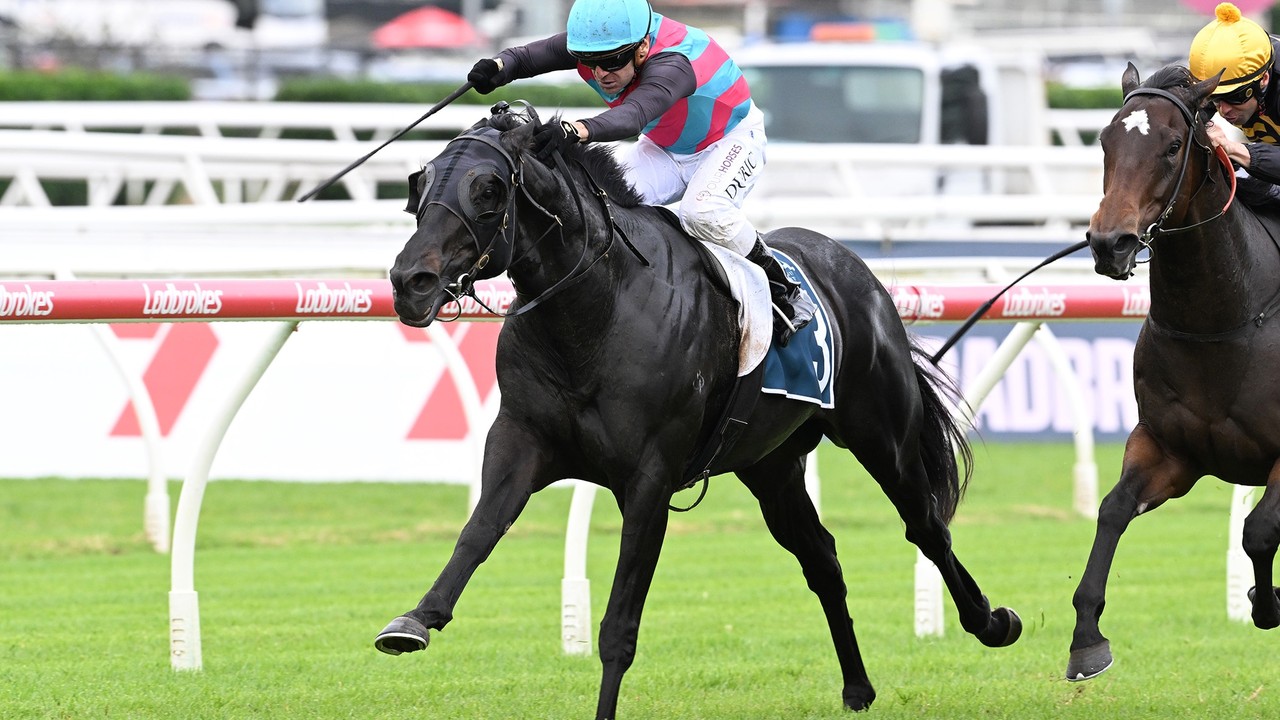 International Raiders Target Longines Hong Kong Mile Glory Image 1