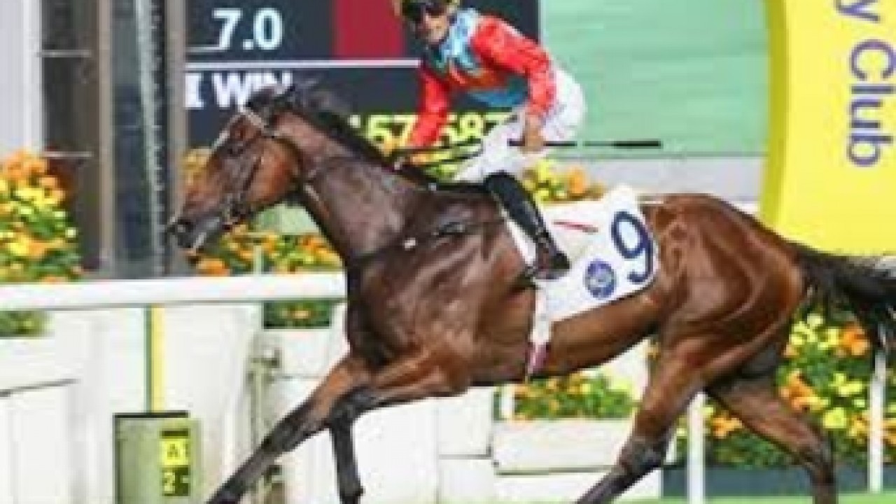 Lucky Eight Set For Epic Battle In Gr.1 Hong Kong Sprint Image 1