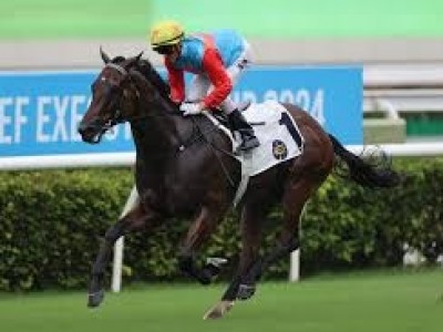 Lucky Eight Set For Epic Battle In Gr.1 Hong Kong Sprint Image 1