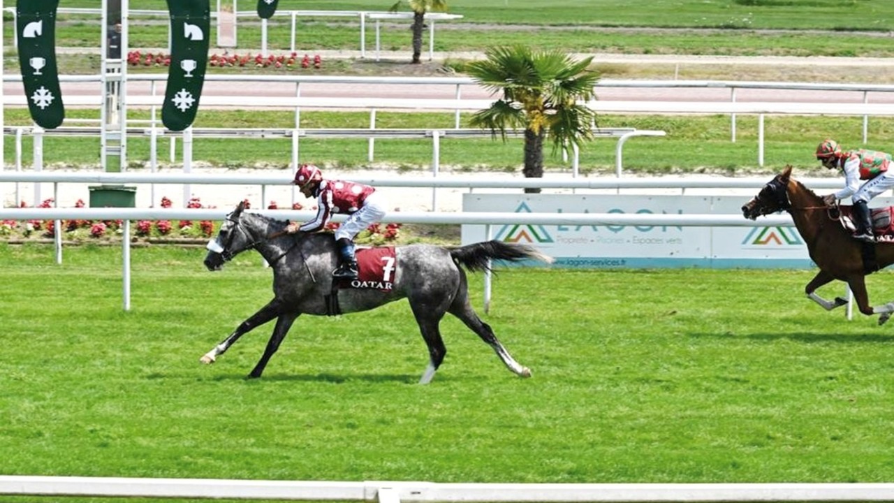 Fourcy's Arabian Stars Shine Bright As Al Doha Aims For UAE ... Image 2