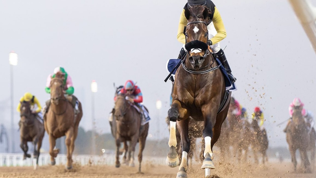 Dubai Speedster Shows Golden Touch at Meydan Image 1