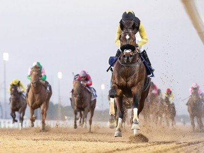 Dubai Speedster Shows Golden Touch at Meydan Image 1
