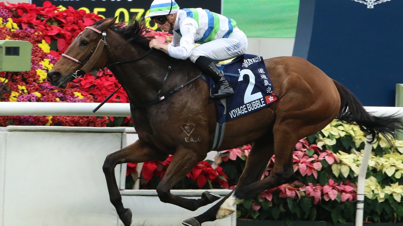 Hong Kong Hero Takes Mile Crown In Style Image 1