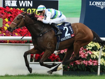 Hong Kong Hero Takes Mile Crown In Style Image 1