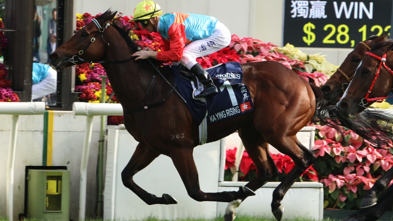 Hong Kong Sprint Glory For Rising Star Image 1