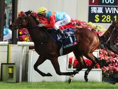 Hong Kong Sprint Glory For Rising Star Image 1