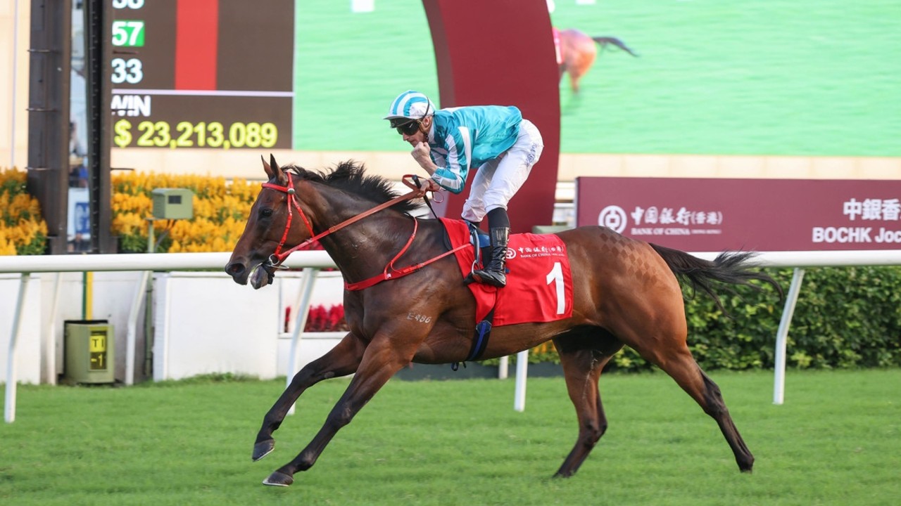 Shum Plotting Triple Crown Raid With Hong Kong Hero Image 1