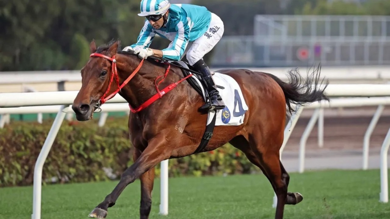 Shum Plotting Triple Crown Raid With Hong Kong Hero Image 1