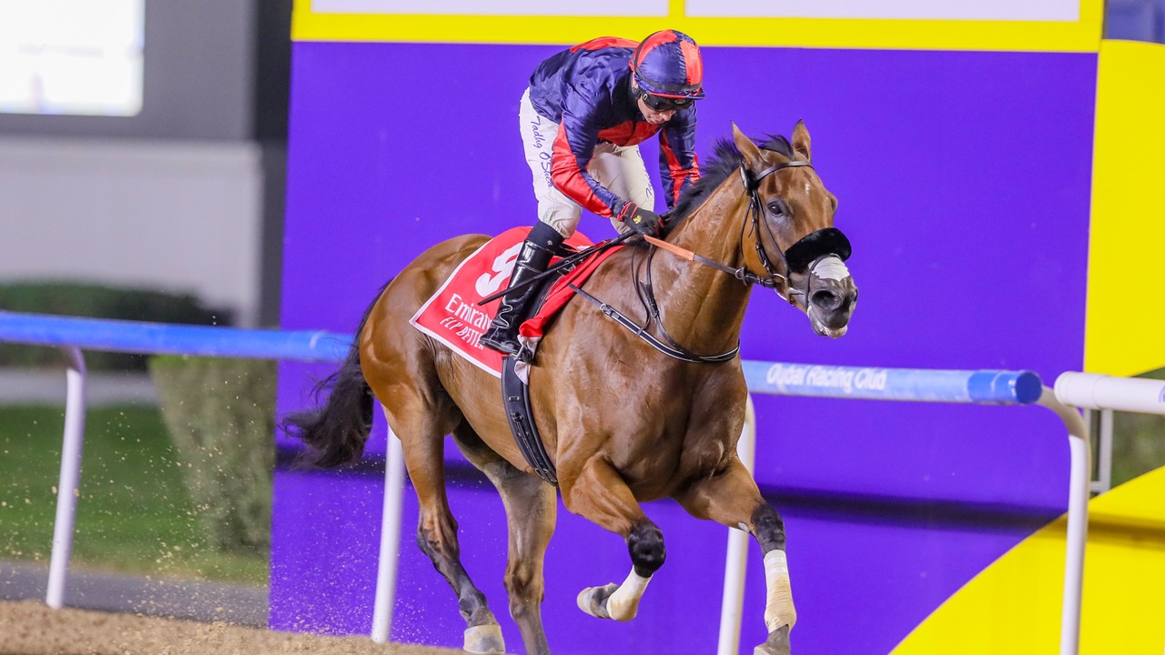 Imperial Emperor Stakes Group One Claim Image 1