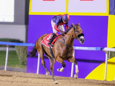 Imperial Emperor Stakes Group One Claim Image 1