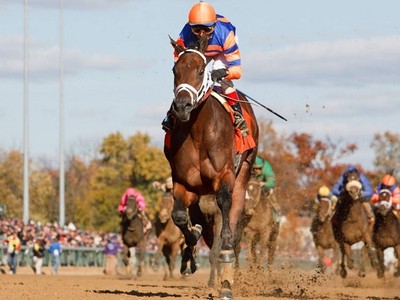 Leading US Stallion Uncle Mo Dies At 16 Image 1