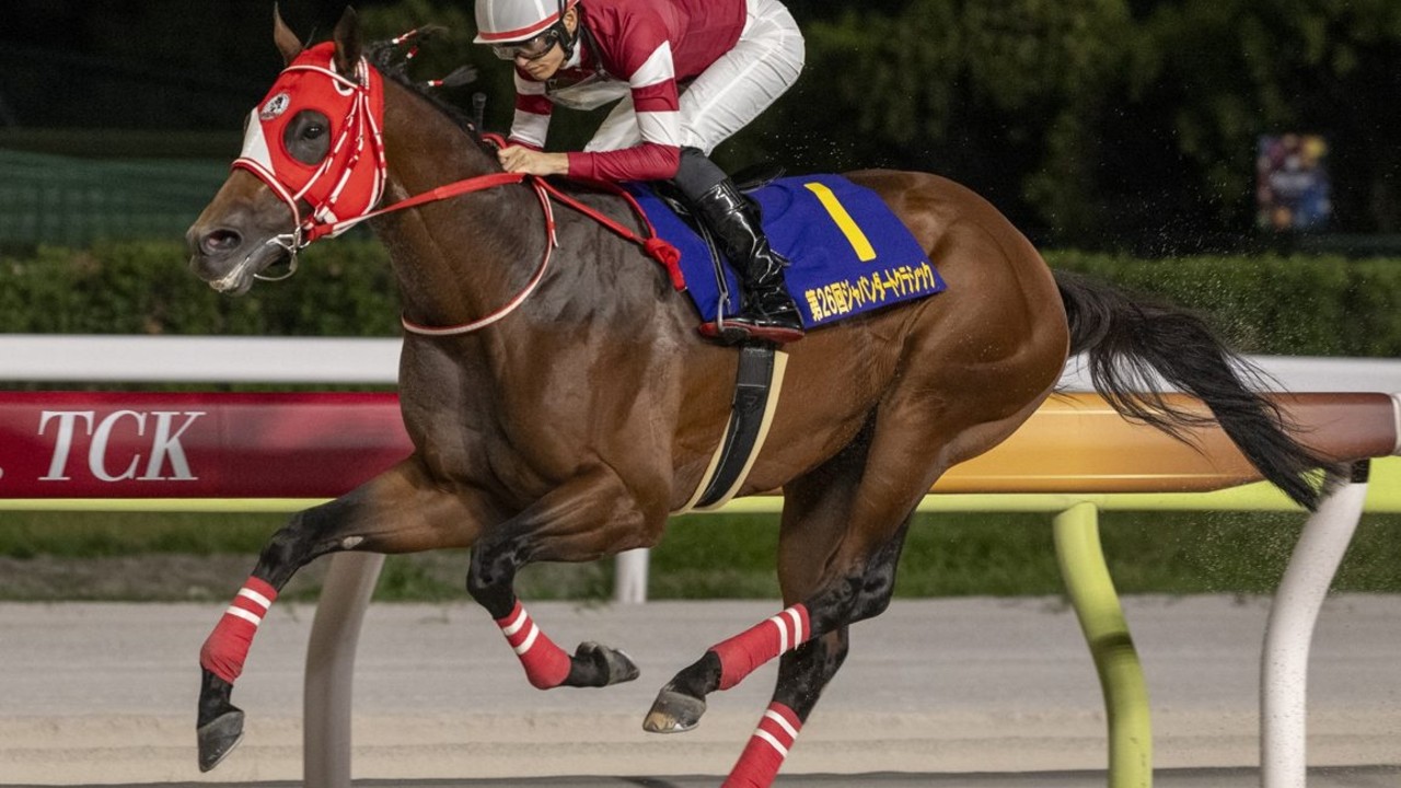 Forever Young Bids To Cap Stellar Year Image 1