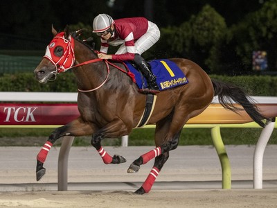 Forever Young Bids To Cap Stellar Year Image 1