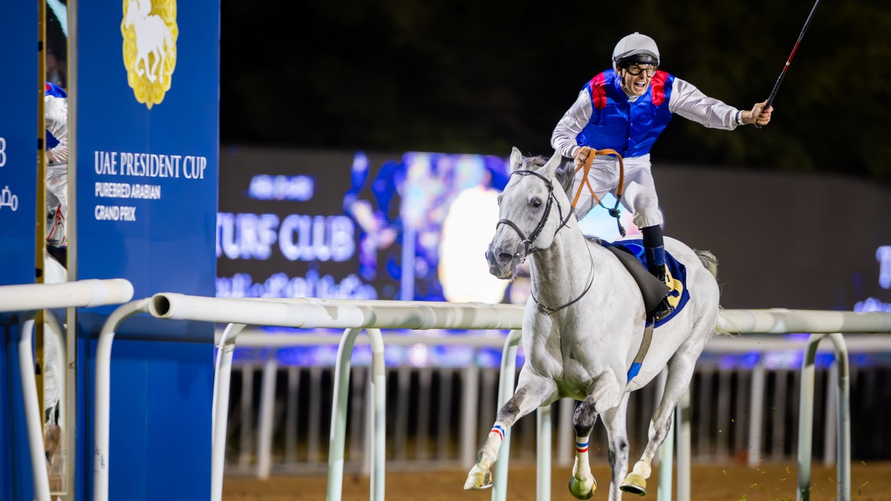 UAE President Cup Meeting At Abu Dhabi Image 1
