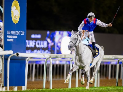 UAE President Cup Meeting At Abu Dhabi Image 1