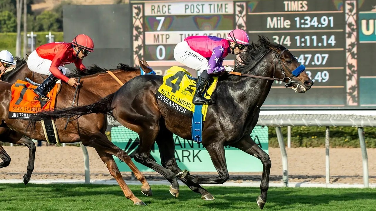 Johannes Heads To Pegasus After Group Win Image 1