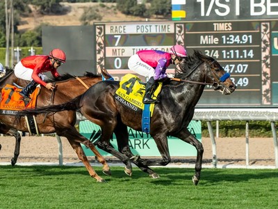 Johannes Heads To Pegasus After Group Win Image 1