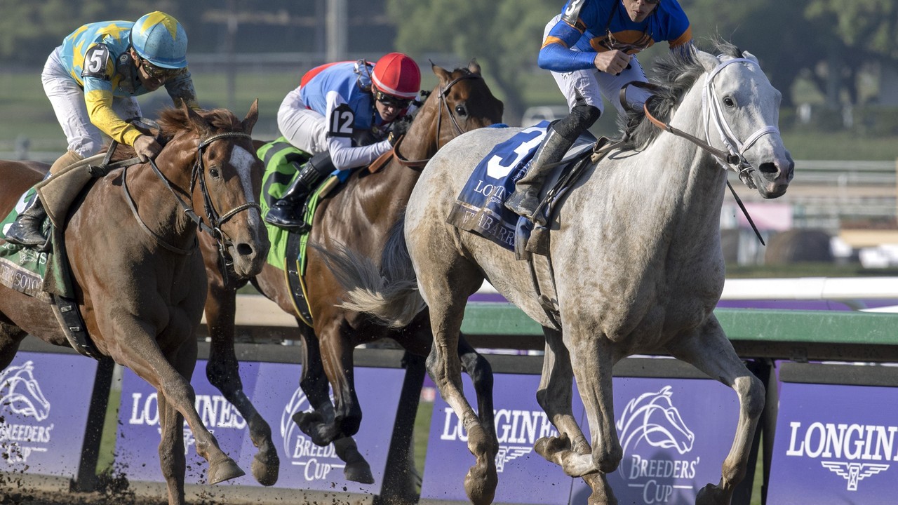 Pegasus World Cup Draws Star-Studded Global Line-Up Image 1