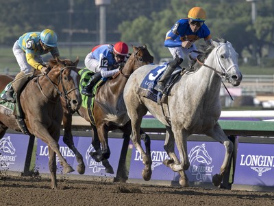 Pegasus World Cup Draws Star-Studded Global Line-Up Image 1