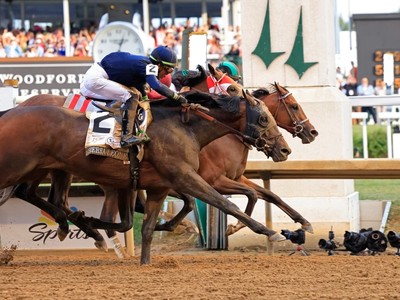 Stars Align For Pegasus World Cup Showdown Image 1