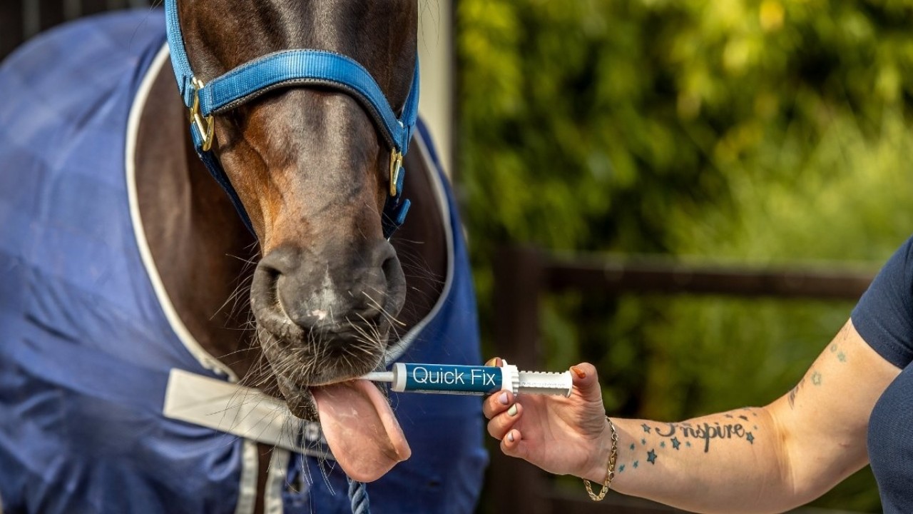 Deworming &amp; Internal Parasites In Racing Horses Image 1