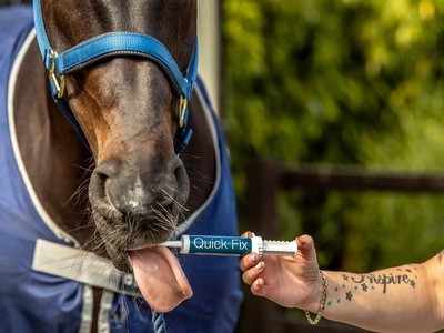 Deworming &amp; Internal Parasites In Racing Horses Image 1