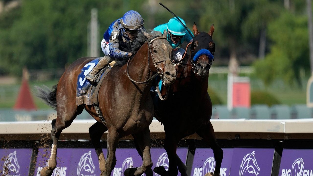 First Group One Winner For Cody's Wish Image 1