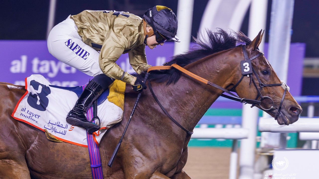 Stellar International Line-Up Set For Dubai Carnival Image 1