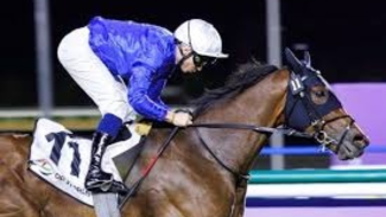 Godolphin Dominate Dubai Carnival Turf Action Image 1