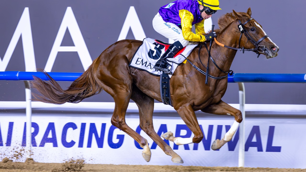 Scandinavian Niels Petersen Triumphs At Dubai's Meydan Image 1