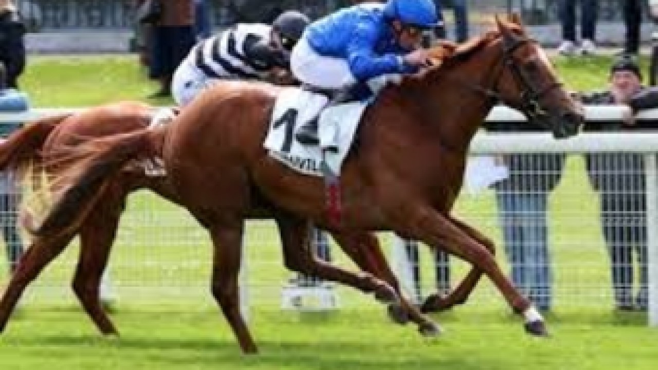 Danish Challenger Taking On Godolphin Star At Meydan Image 1