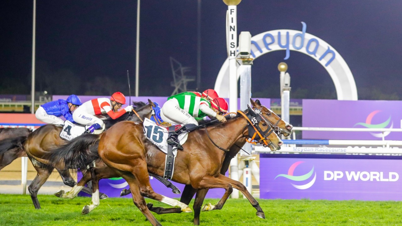 From Turf Glory To Desert Dreams: Reynier's Bold Gamble ... Image 1