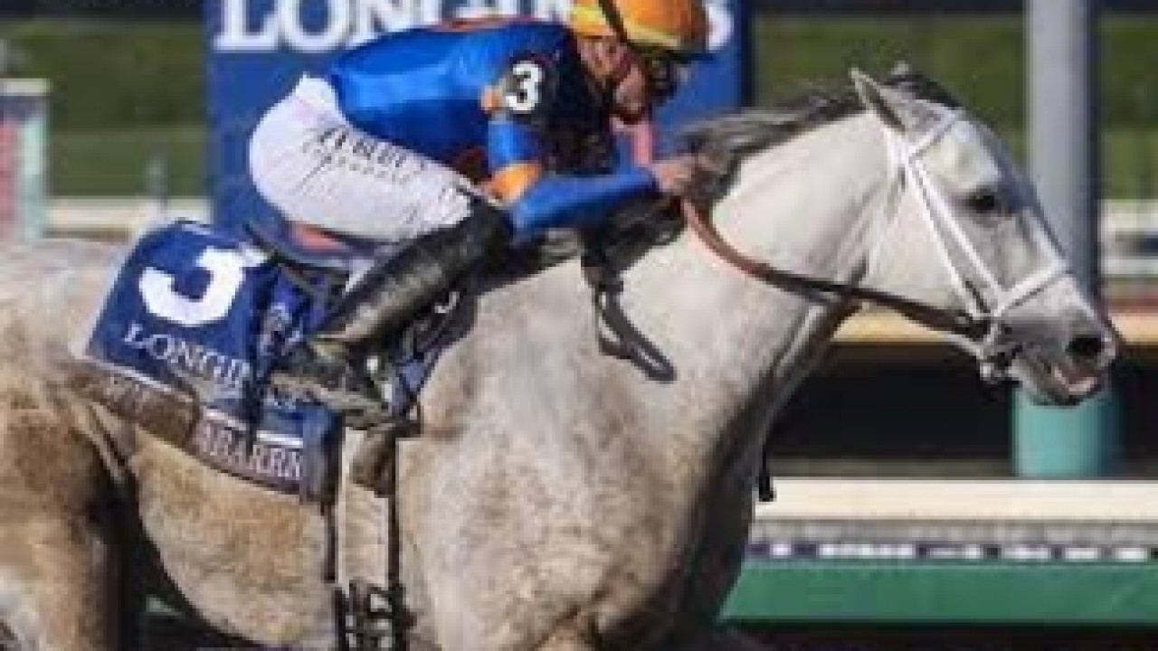 Pegasus Hope White Abarrio Shines In Workout Image 1