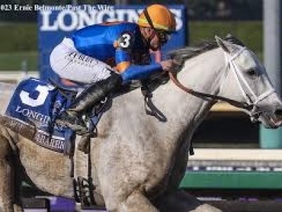 Pegasus Hope White Abarrio Shines In Workout