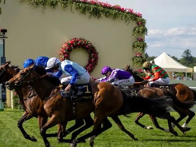 Royal Hunt Cup Hero Plots Gulf Glory