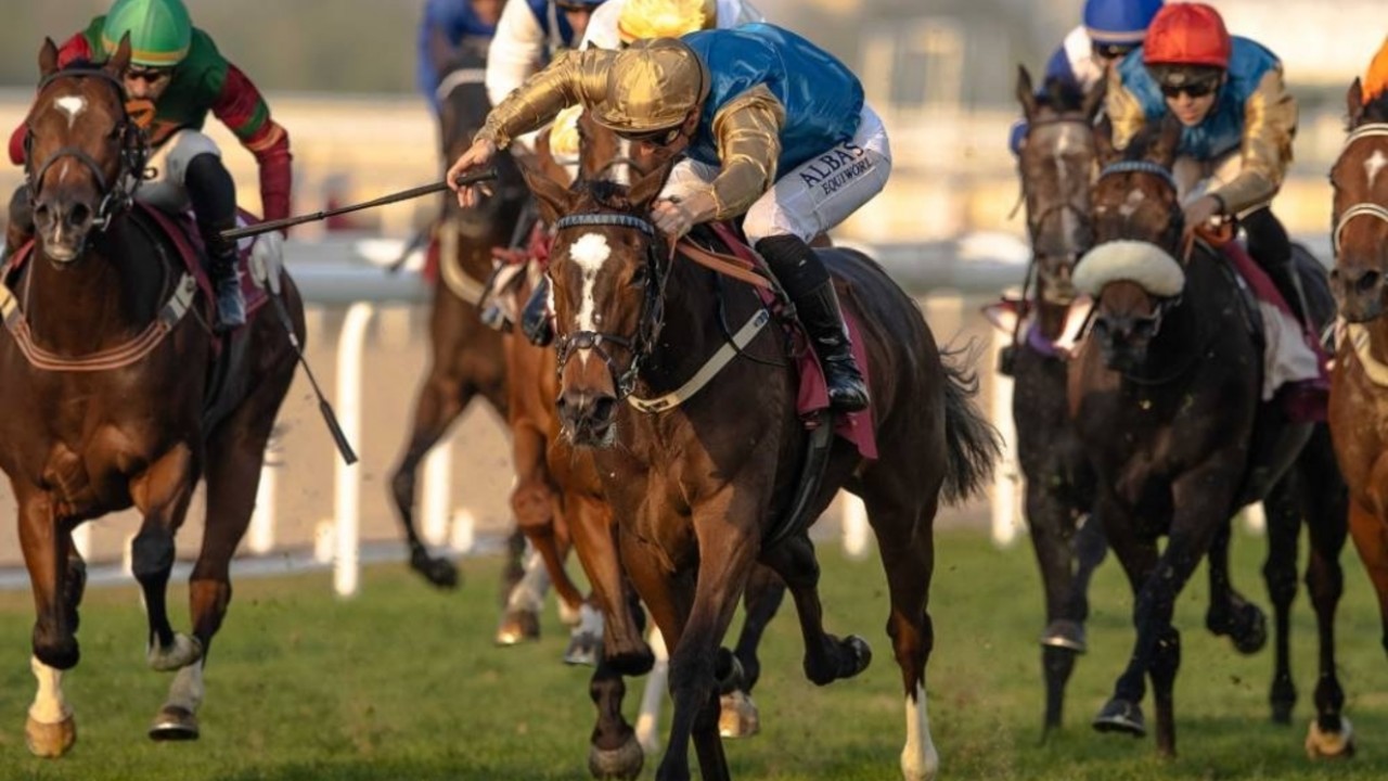 Mare strikes Gold In Qatar Group Three feature Image 1