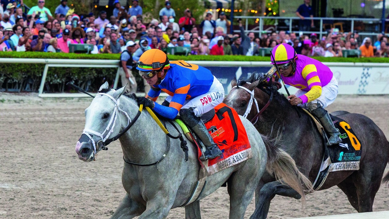 Pegasus World Cup Battle Set To Ignite Image 1